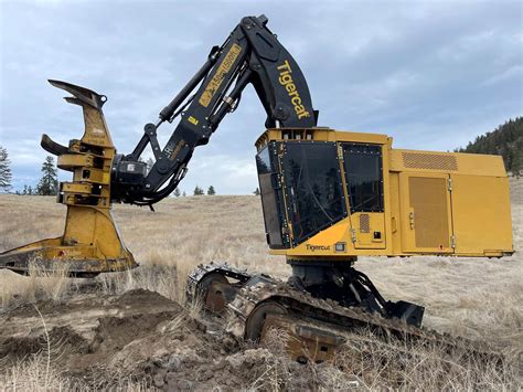 skid steer feller|tigercat feller bunchers for sale.